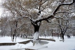 打球，賞雪，盡在檸檬運(yùn)動空間！